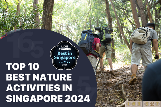 Top 10 Best Nature Activities in Singapore 2024