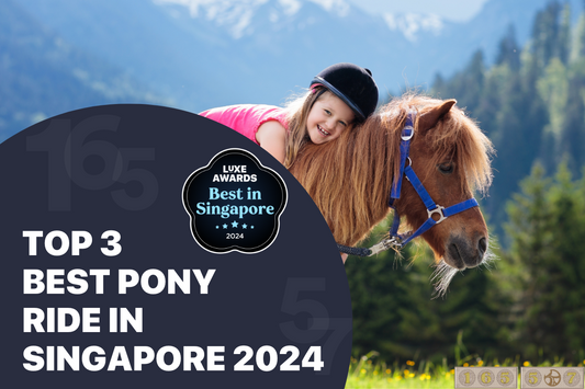 Top 3 Best Pony Ride in Singapore 2024