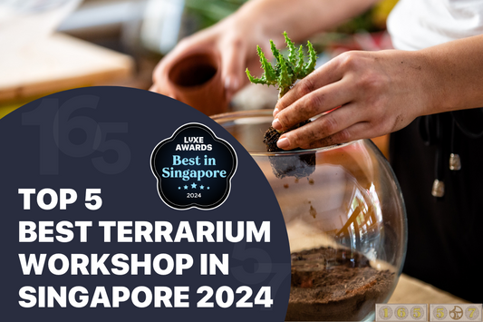 Top 5 Best Terrarium Workshop in Singapore 2024