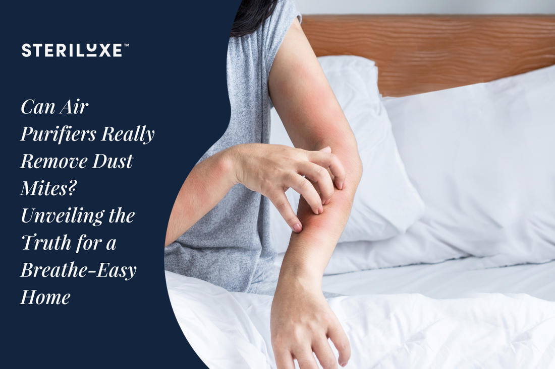 Air purifiers best sale to remove dust