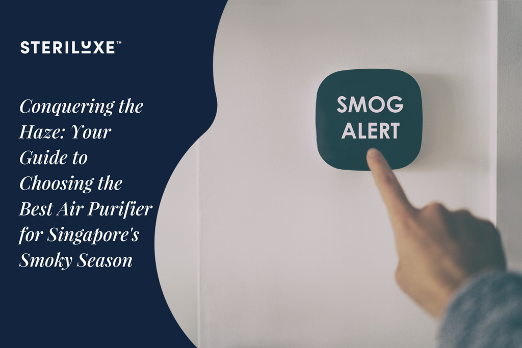 Best air cheap purifier for haze