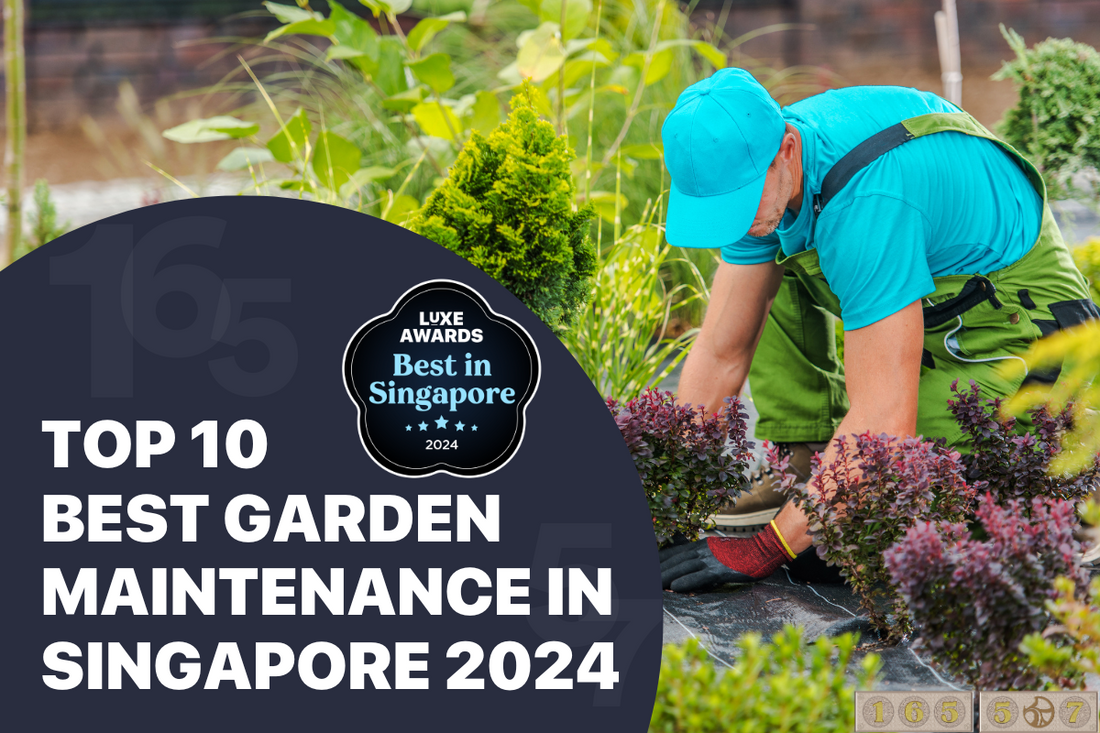 Top 10 Best Garden Maintenance in Singapore 2024