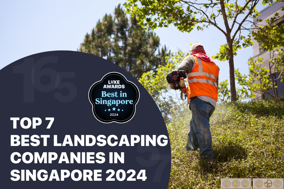 Top 7 Best Landscaping Companies in Singapore 2024