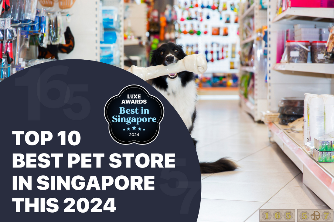 Top 10 pet stores deals