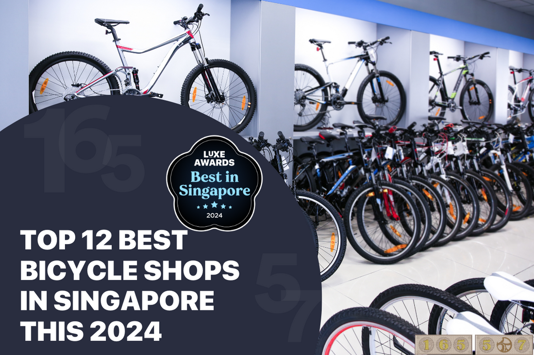 Top 12 Best Bicycle Shops in Singapore this 2024 Steriluxe
