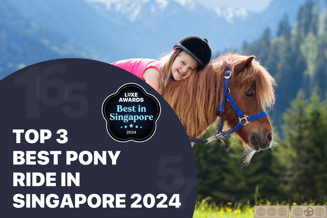 Top 3 Best Pony Ride in Singapore 2024