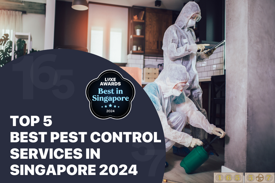 Top 5 Best Pest Control Services in Singapore 2024