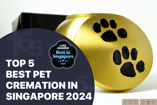 Top 5 Best Pet Cremation in Singapore 2024