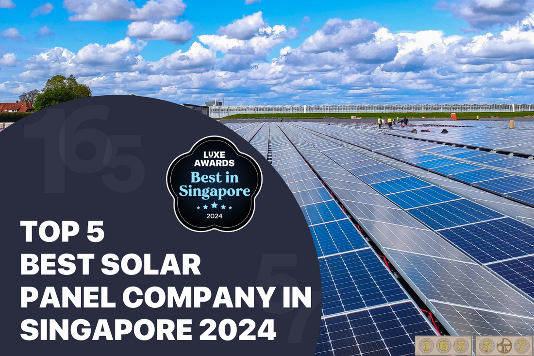 Top 5 Best Solar Panel Company in Singapore 2024
