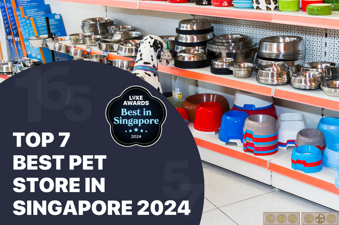 Top 7 Best Pet Store in Singapore 2024