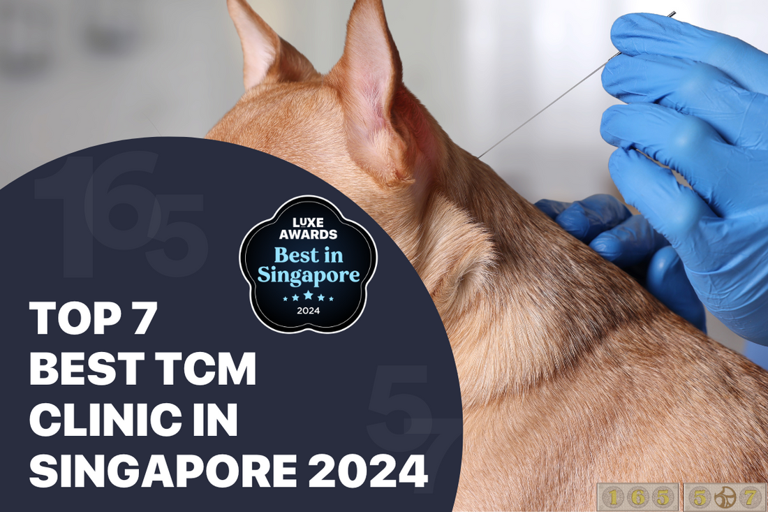 Top 7 Best TCM Clinic in Singapore 2024